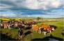 China-Russia Border Scenic Area